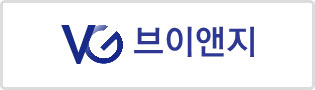 브이앤지